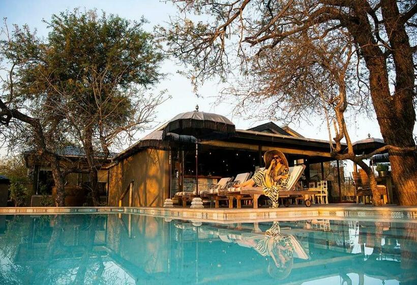 فندق Safari Moon Luxury Bush Lodge