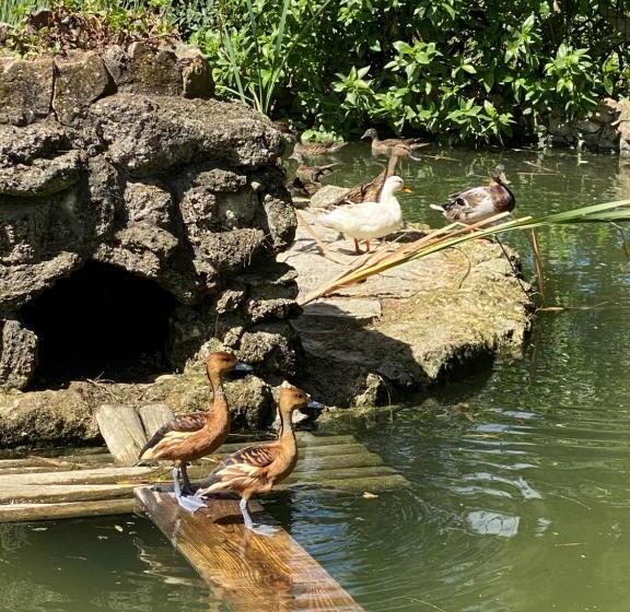 בית מלון כפרי Charm Azenha Dóbidos Farm