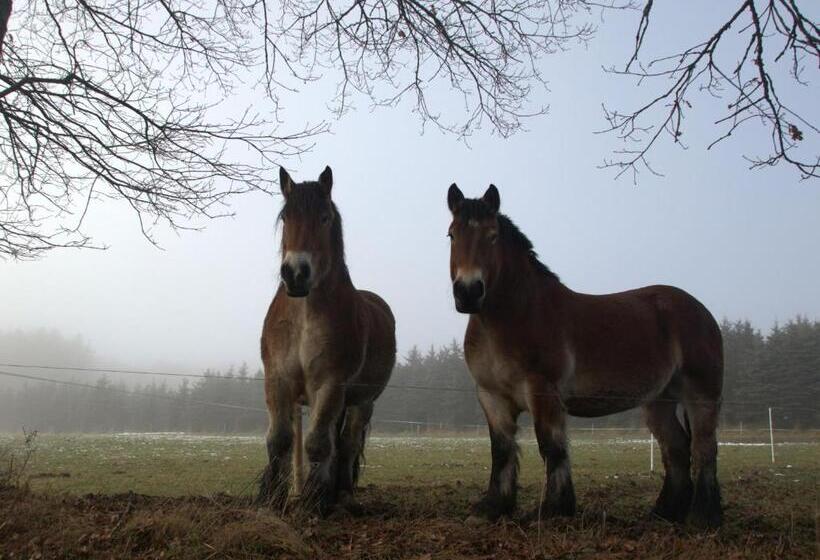 Fewo Rosenberger Sauerland