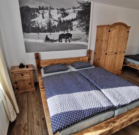 بنسيون Penzion Loučka Bystřice