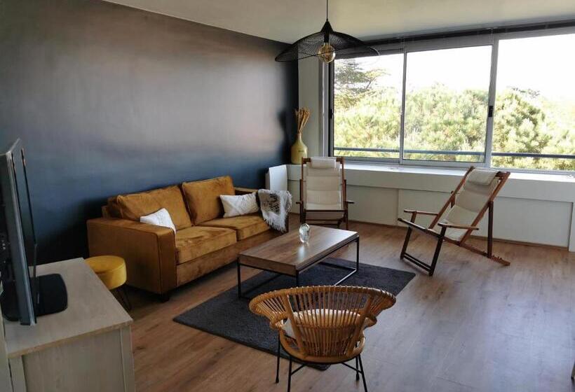 Les Pins De L Ocean   A 1km De La Mer