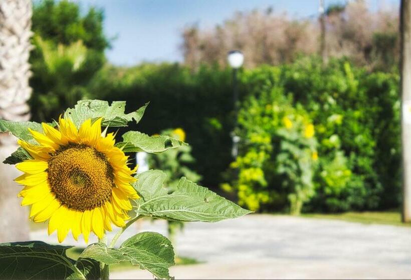 تختخواب و صبحانه Agriturismo Karrares