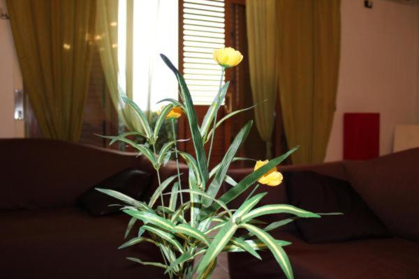 تختخواب و صبحانه Le Nuove Porte Di Taormina