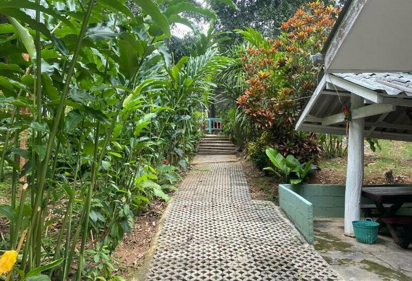 בית מלון כפרי ทับศิลารีสอร์ท Tubsila Resort
