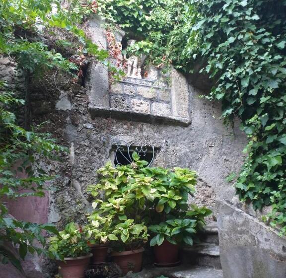 פנסיון Palazzo Caracciolo