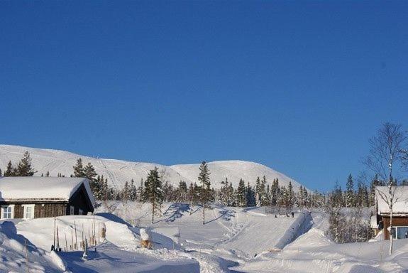 Koselig Hytte Ved Skiheis, Langrennspor, Akebakke Og Har 4 Soverom, 2 Bad, Badstue Og Fiber Bredbånd