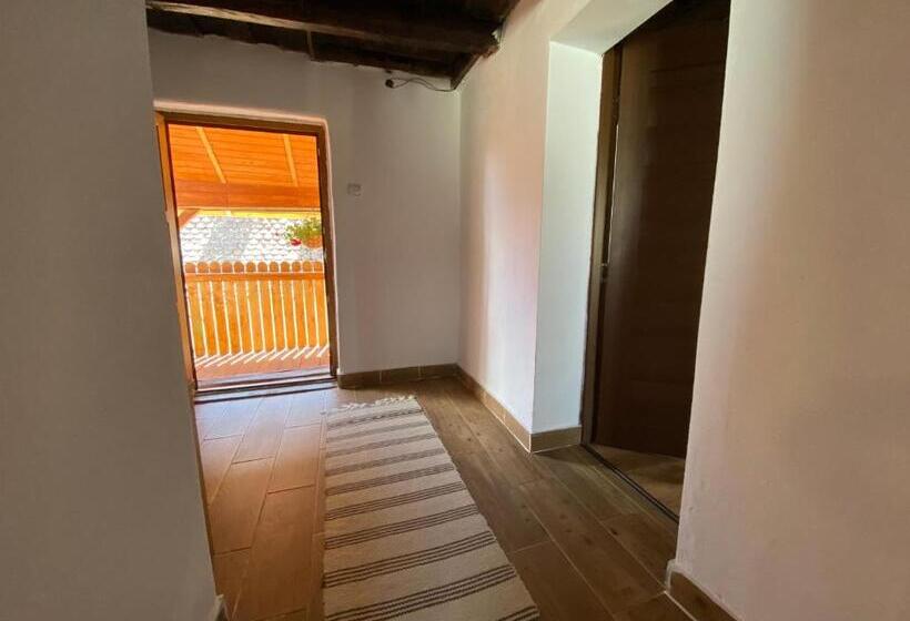 ペンション Casa De Vacanta Family & Friends