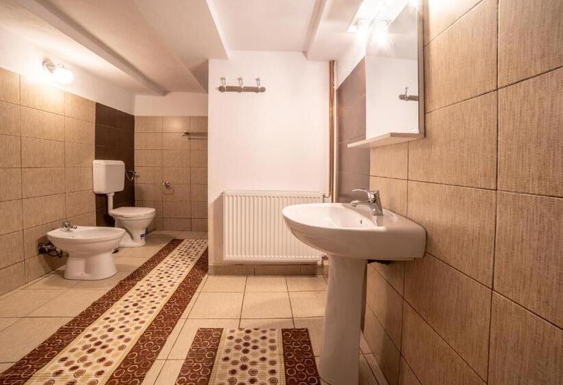 ペンション Casa De Vacanta Family & Friends