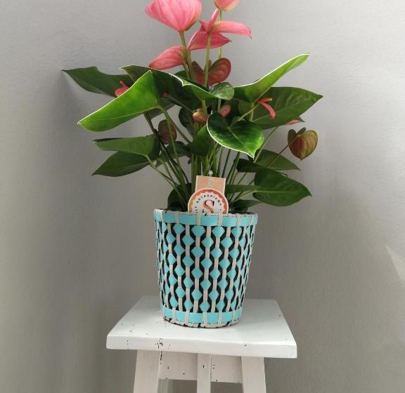 펜션 Il Giardino Di Sara