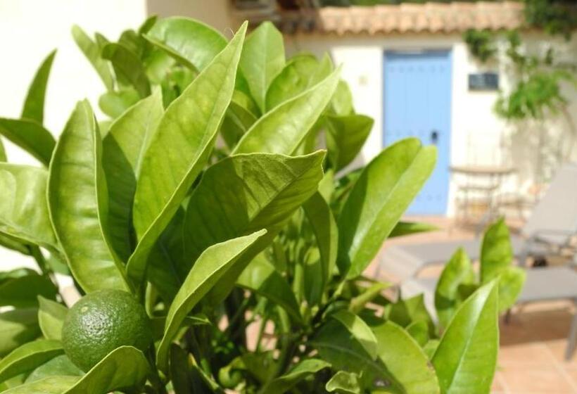 تختخواب و صبحانه Casa Romero