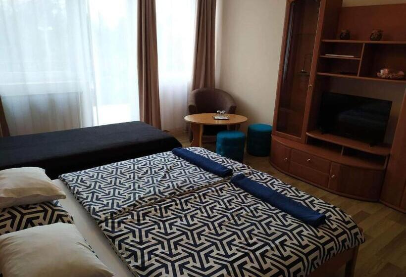 Bed and Breakfast Szilvia Panzió Gyomaendrőd