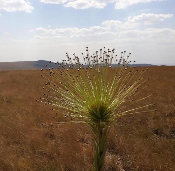 ユースホステル Pousada Serra Da Canastra