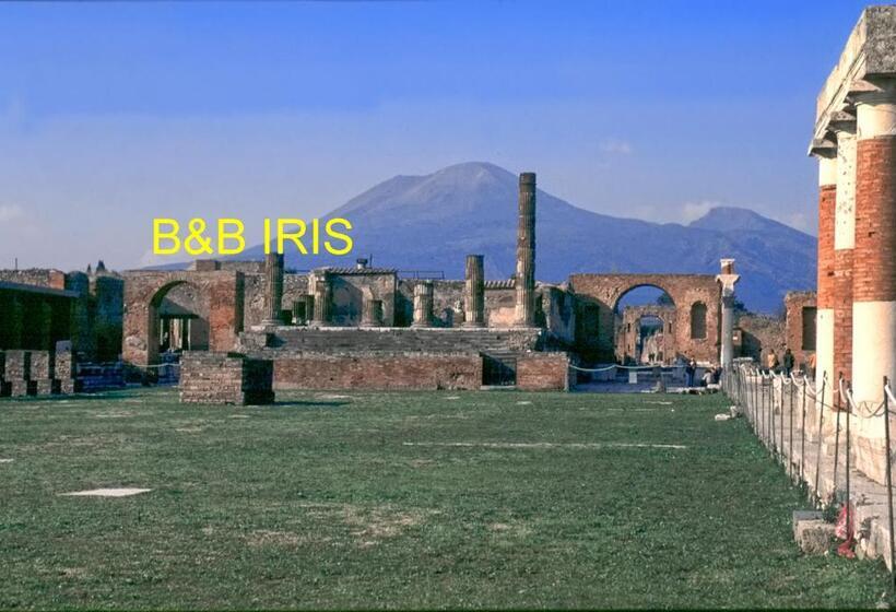B&b Iris