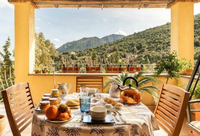 B&b Su Biancu   Sardinian Experience