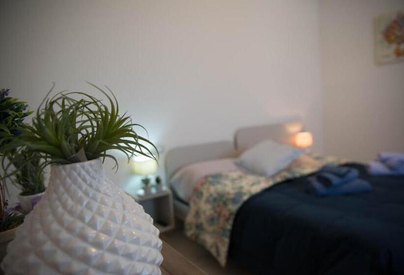B&b Xenia