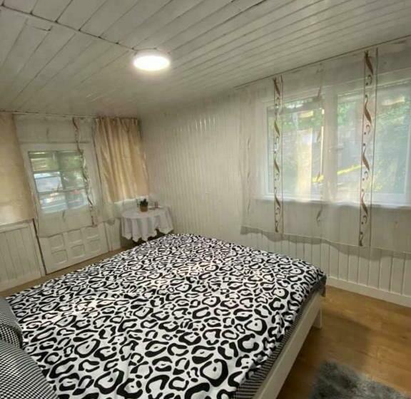 פנסיון Casa Parvu