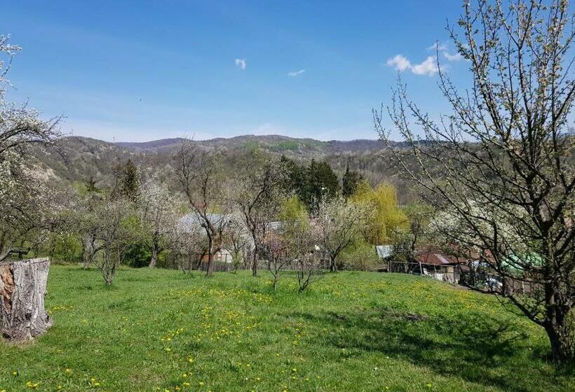 פנסיון Casa Parvu