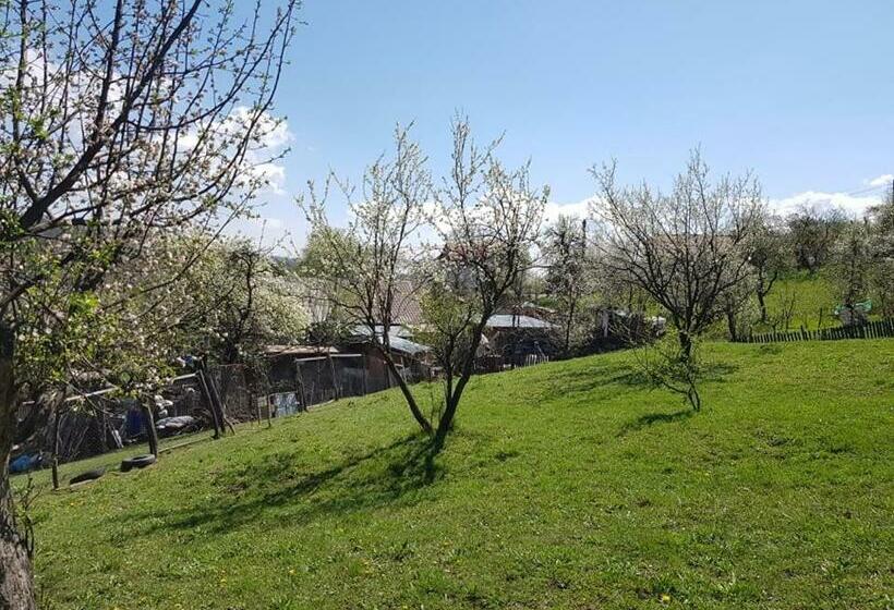 פנסיון Casa Parvu