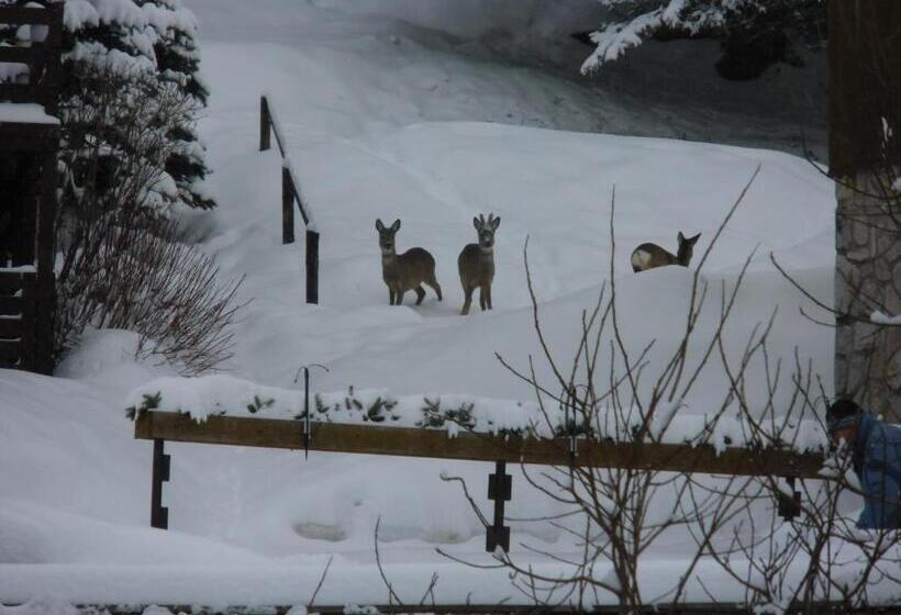 پانسیون Penzion Sluníčko