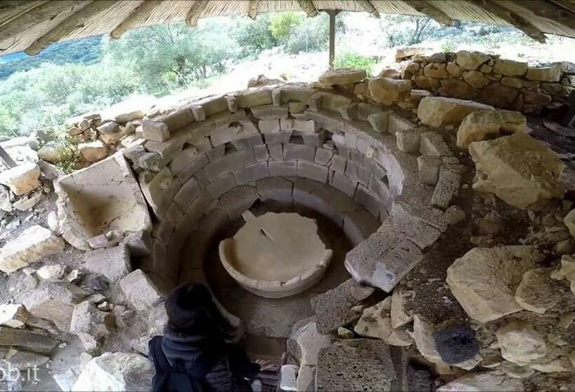 B&b Barbaricino Iun F1442