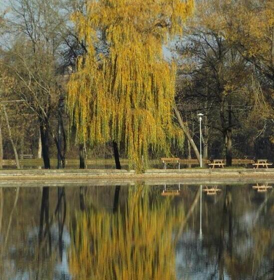 Bed and Breakfast Cseppkő Panzió