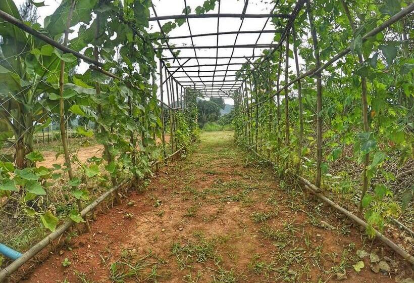 هتل Baan Nork Farmstay บ้านนอก ฟาร์มสเตย์