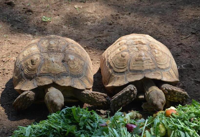 فندق La Piana Dell Erika