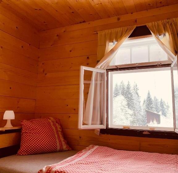 پانسیون Penzion Lesní Zátiší  Harrachov