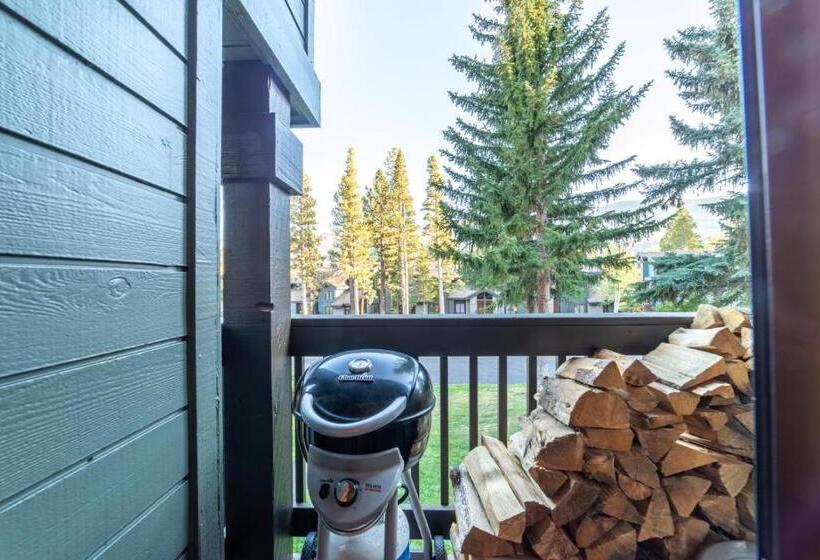 477 Spacious 3 Bed Loft   Balcony Laundry Spa Sauna   Walk To Shuttle