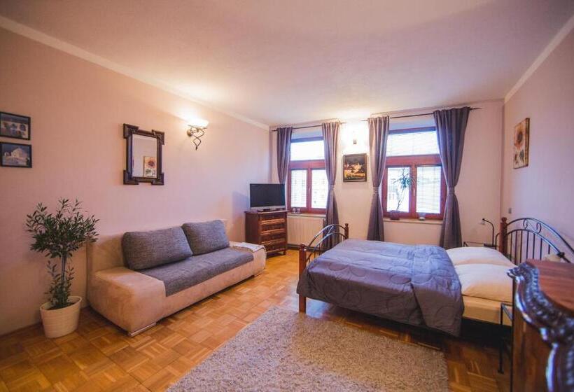 هاستل Penzion U Papoušků