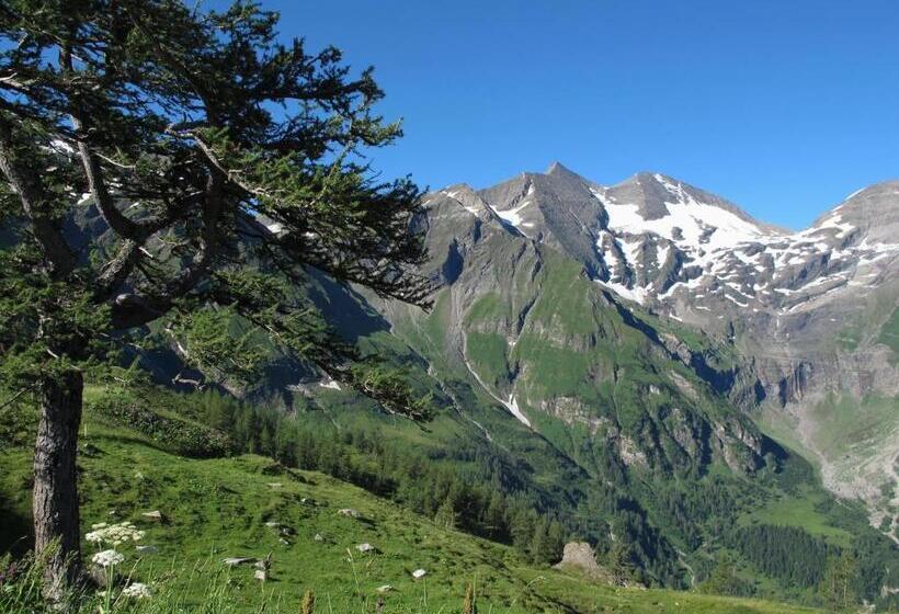 مبيت وإفطار Pension Dorfplatzl