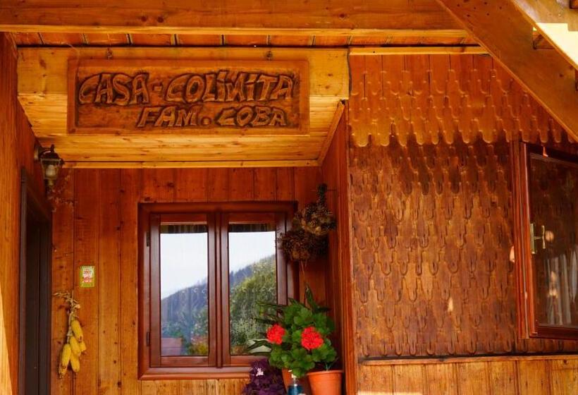 בית מלון כפרי Pensiunea Agroturistica Casa Coliniţa