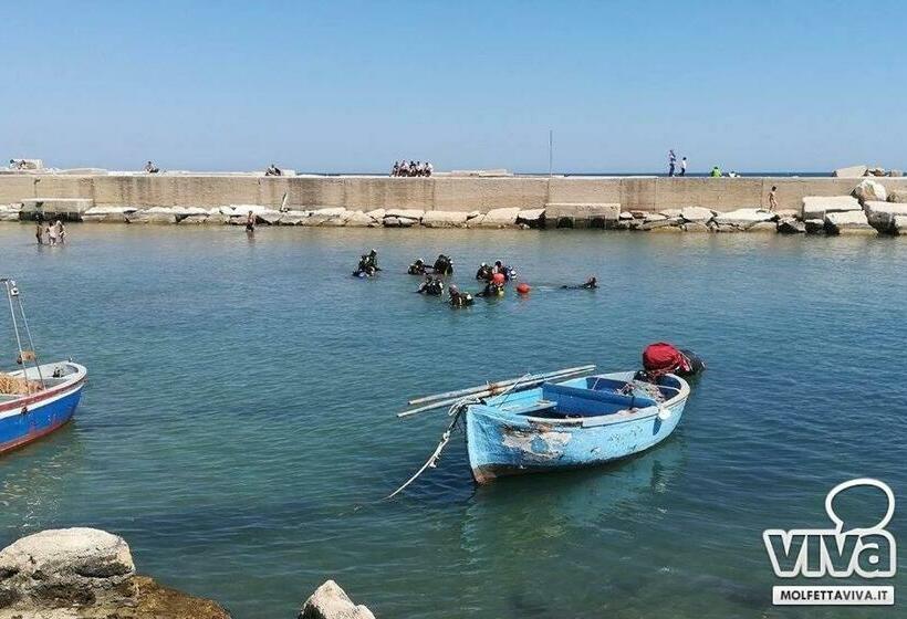 بنسيون B&b Al Duomo Molfetta