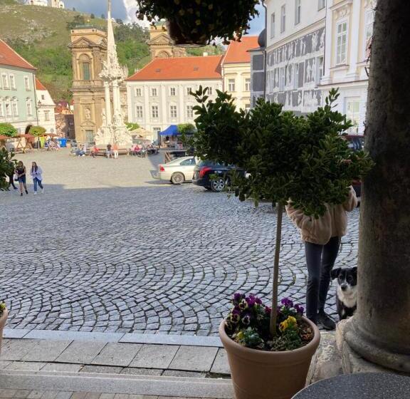 پانسیون Guesthouse Mikuláš Mikulov   Free Parking In The City Center