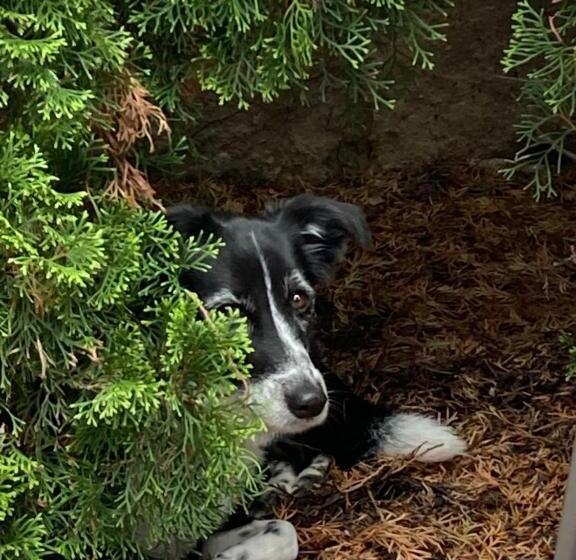 پانسیون Guesthouse Mikuláš Mikulov   Free Parking In The City Center