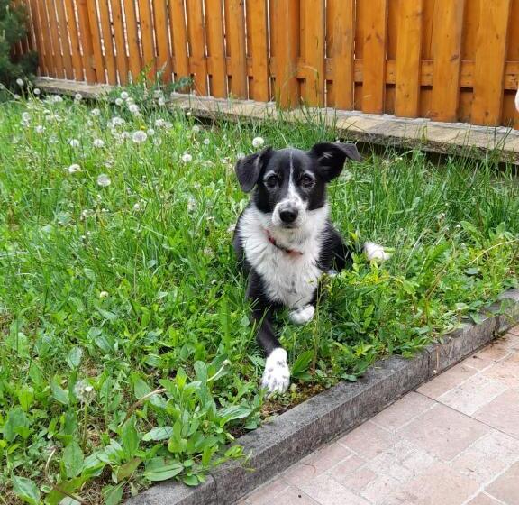 پانسیون Guesthouse Mikuláš Mikulov   Free Parking In The City Center