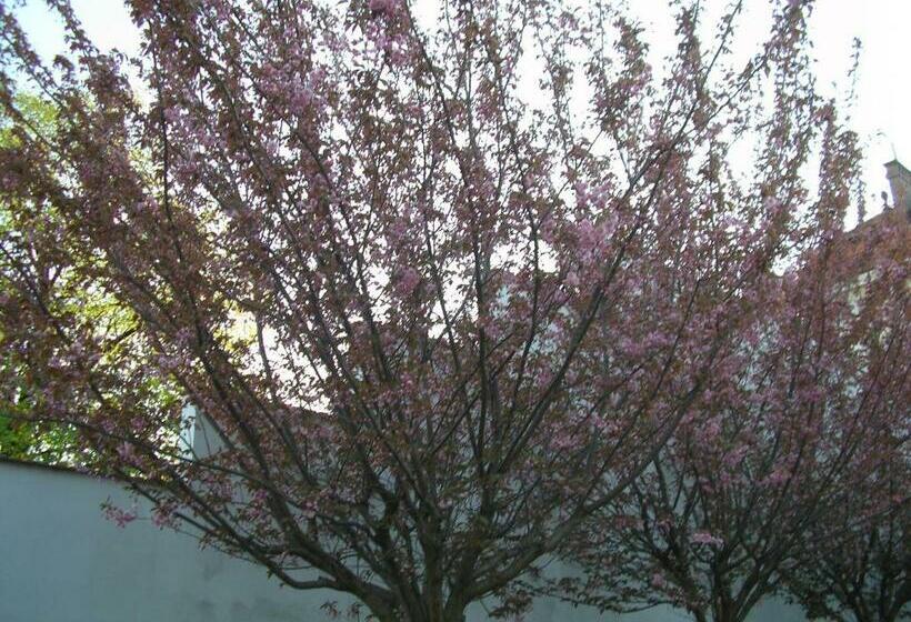 پانسیون Penzion U žabáka