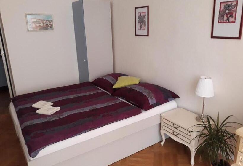 پانسیون Penzion U žabáka