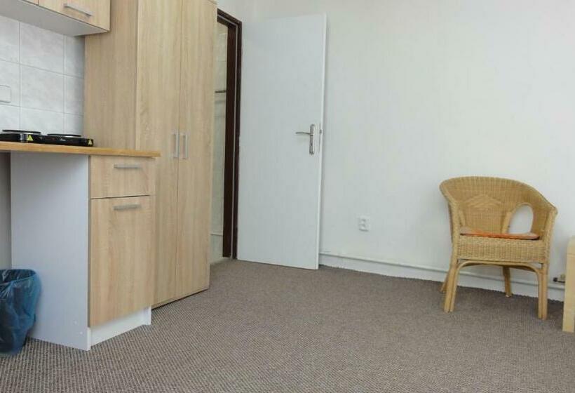 پانسیون Penzion U Hradeb