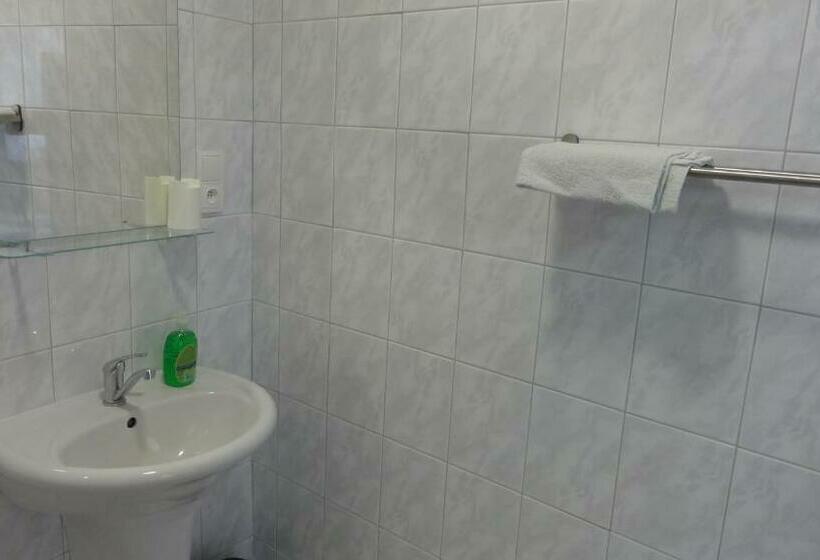 پانسیون Penzion U Hradeb