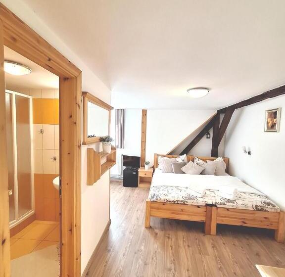 پانسیون Penzion V Suchu