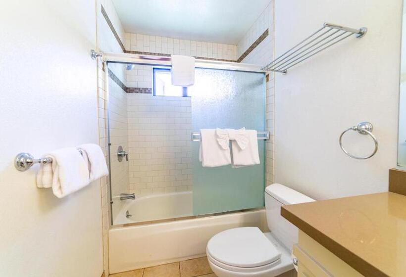 264   Beautiful Spacious Pet Friendly Townhome