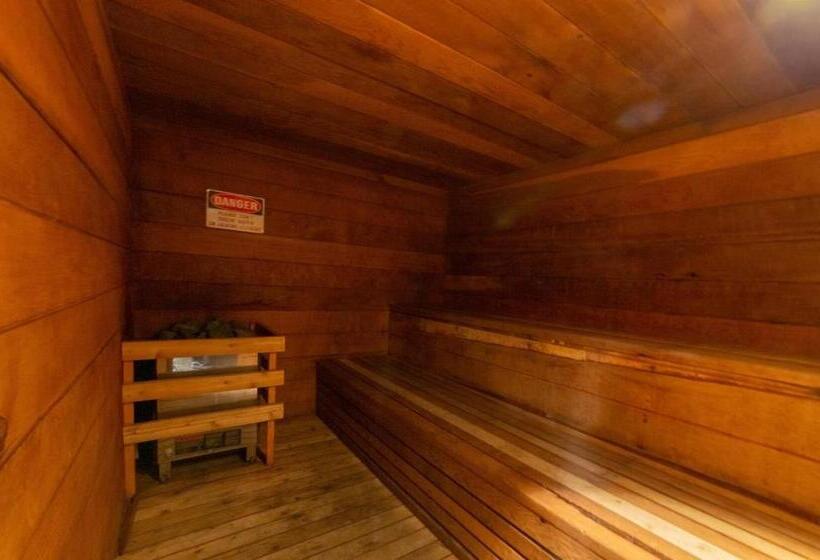 292   Pet Friendly Mammoth Condo Pool Spa