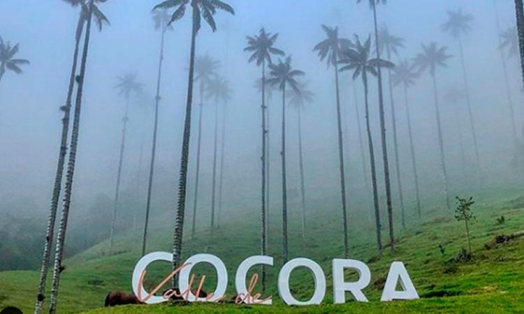 Aparta Hotel Turístico A 2 Km Parque Del Café