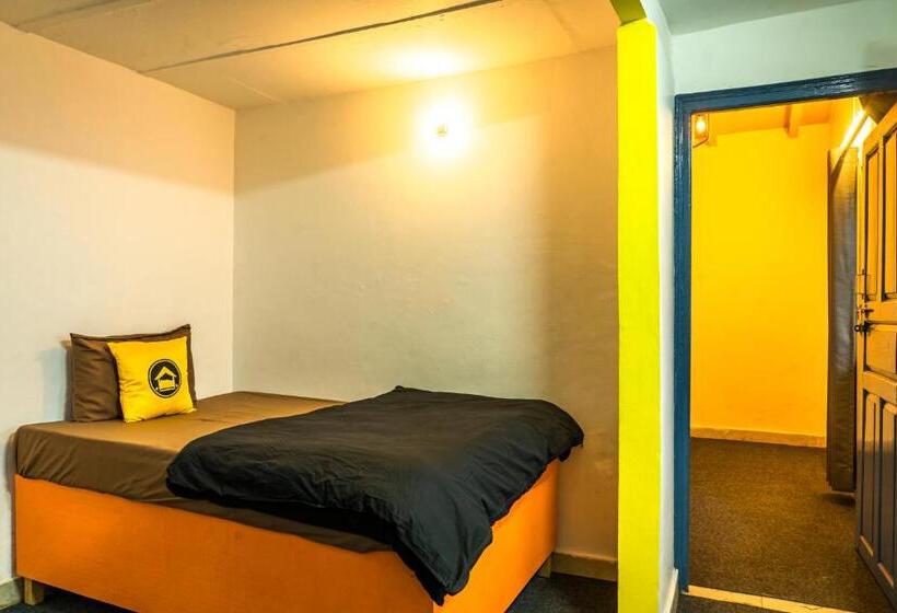 Lushtree Backpackers   Hostel & Cafe