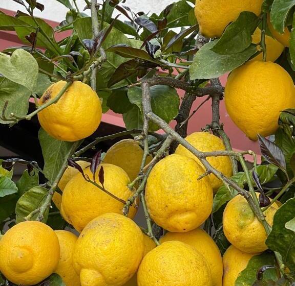 پانسیون Sotto Le Stelle ...il Mare