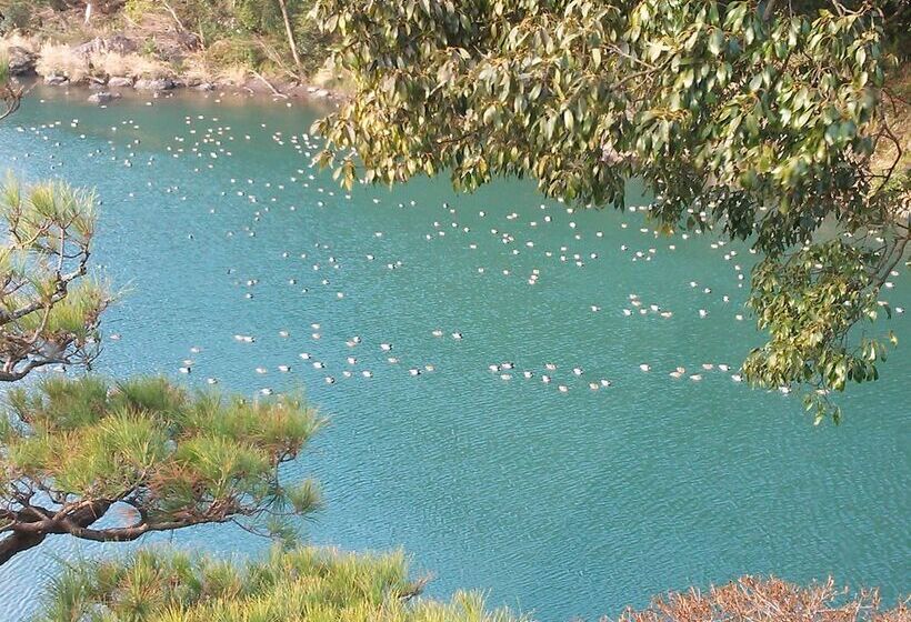 ريوكان Yumeno Onsen