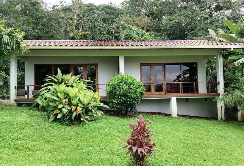 住宿加早餐  La Ceiba Tree Lodge