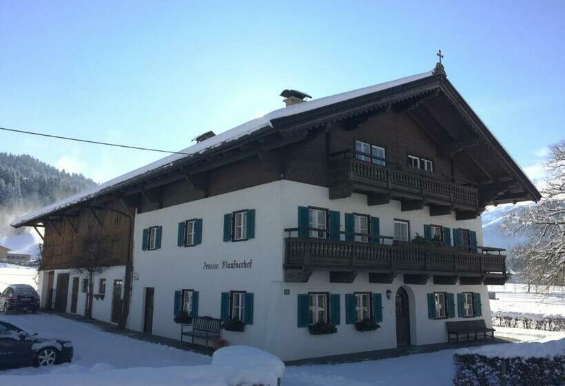 Bed and Breakfast Pension Klausnerhof