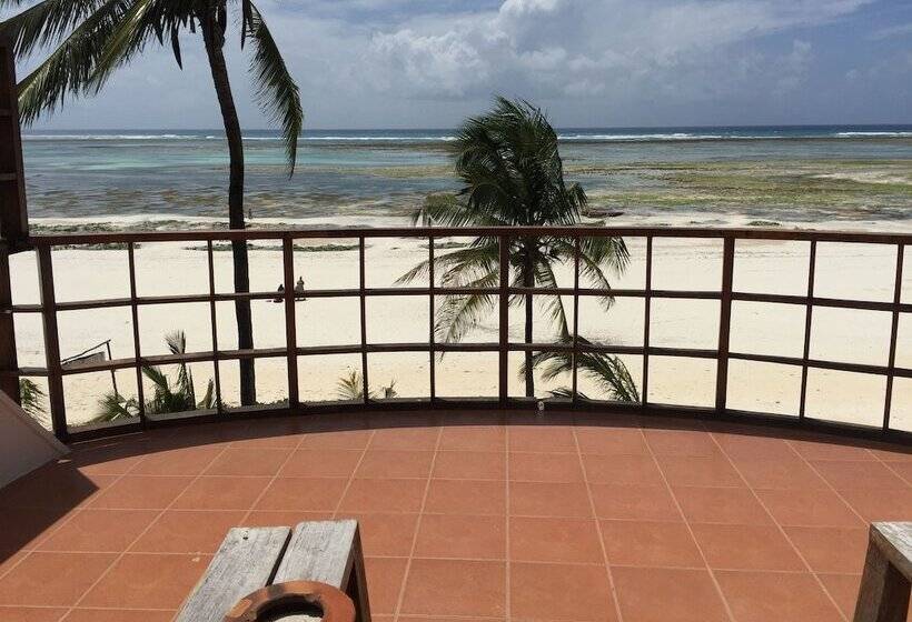 فندق Albatross Ocean View
